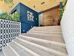 Cozy & modern, steps from 5th Ave & Mamitas Beach
